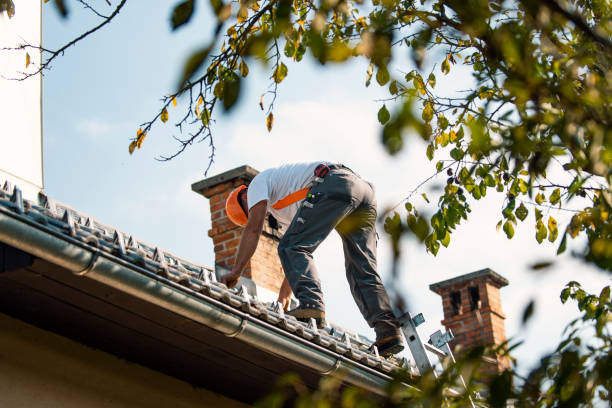 Best Flat Roofing  in Factoryville, PA